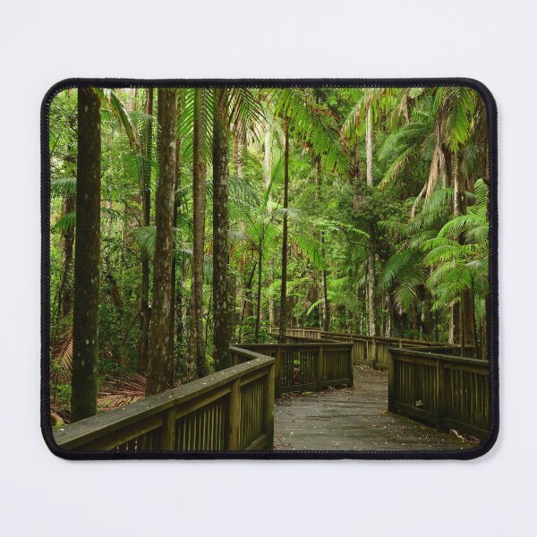 Item preview, Boardwalk through the rain forest designed and sold by photosbymia.