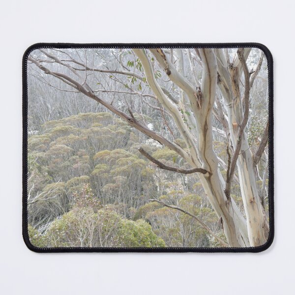 Item preview, Snow Gums in the mist designed and sold by photosbymia.