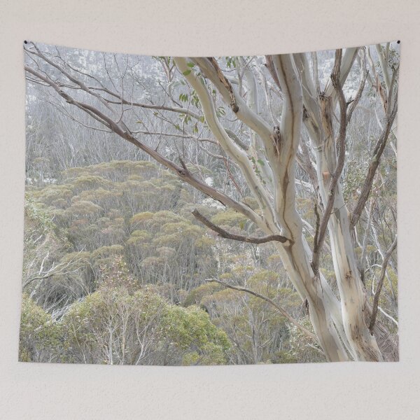 Item preview, Snow Gums in the mist designed and sold by photosbymia.