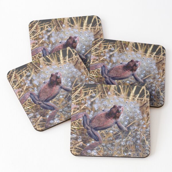 Item preview, Guardian. European brown frog designed and sold by Jouko Lehto Photography.