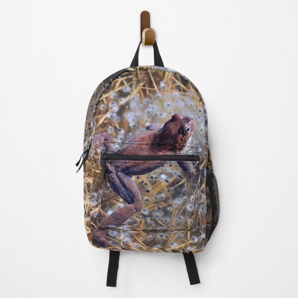 Item preview, Guardian. European brown frog designed and sold by Jouko Lehto Photography.