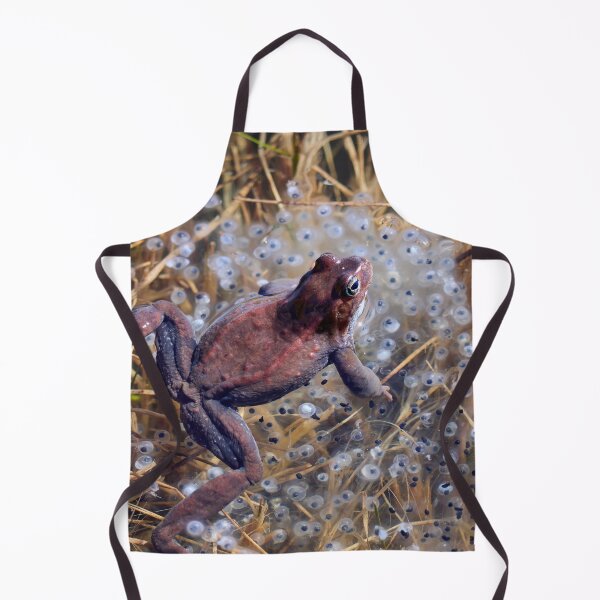 Item preview, Guardian. European brown frog designed and sold by Jouko Lehto Photography.