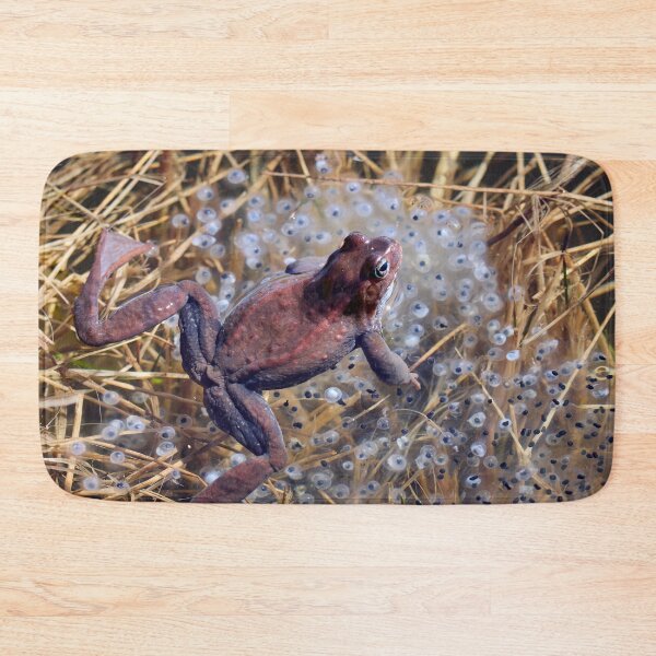 Item preview, Guardian. European brown frog designed and sold by Jouko Lehto Photography.