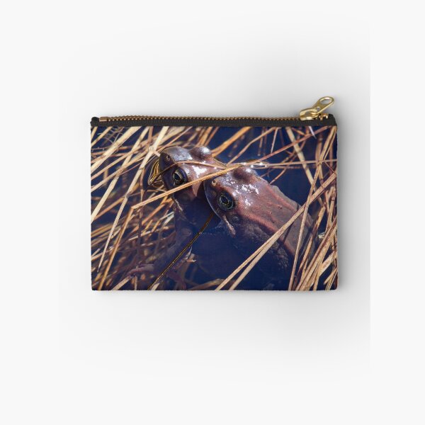 Item preview, Sweet sweet spring. European brown frog designed and sold by Jouko Lehto Photography.