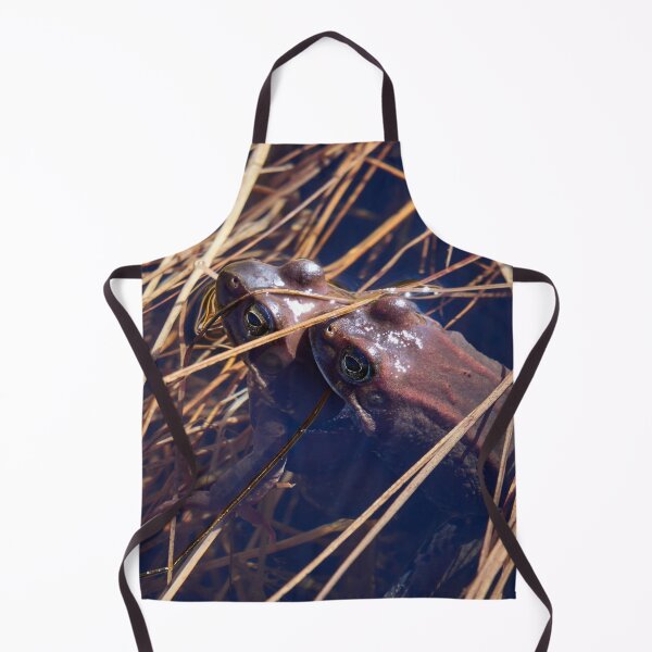 Item preview, Sweet sweet spring. European brown frog designed and sold by Jouko Lehto Photography.