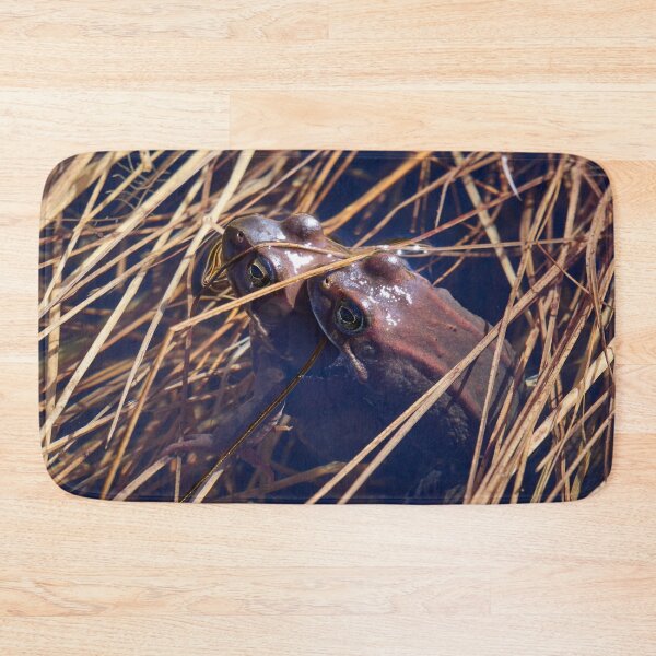 Item preview, Sweet sweet spring. European brown frog designed and sold by Jouko Lehto Photography.