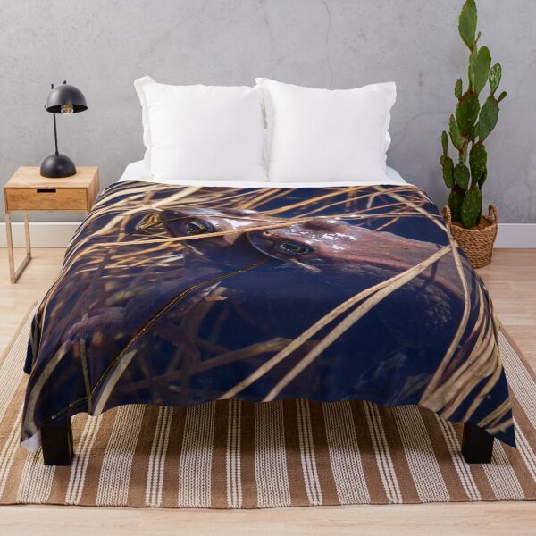 Item preview, Sweet sweet spring. European brown frog designed and sold by Jouko Lehto Photography.