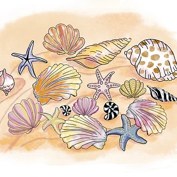Artwork thumbnail, Sea Shell Collection by AnnetteGWhite