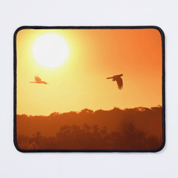 Item preview, Sunset flight designed and sold by photosbymia.