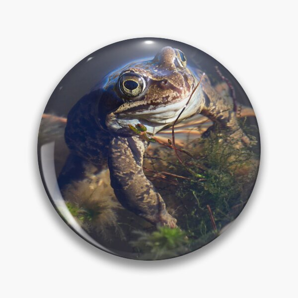 Item preview, The boss. European brown frog designed and sold by Jouko Lehto Photography.