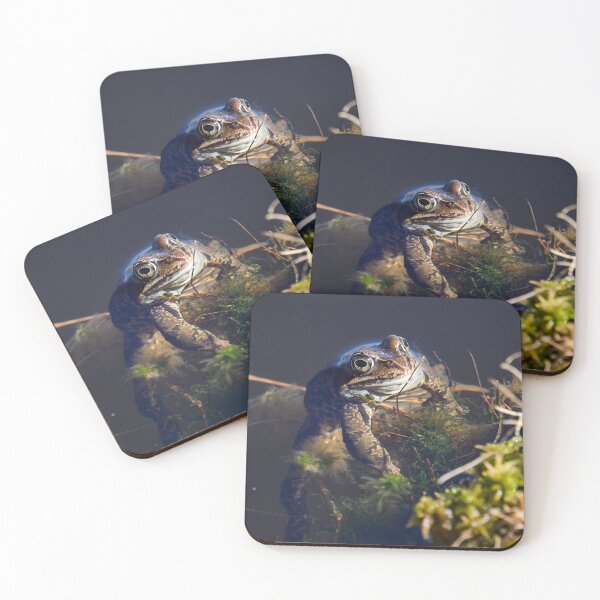 Item preview, The boss. European brown frog designed and sold by Jouko Lehto Photography.