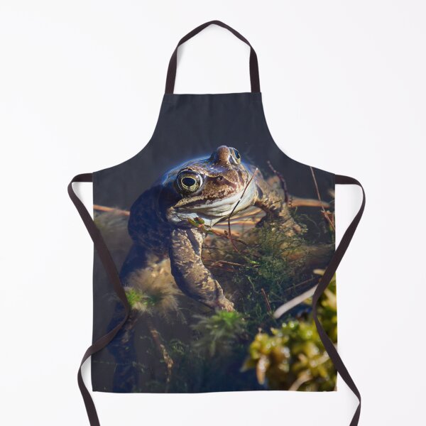 Item preview, The boss. European brown frog designed and sold by Jouko Lehto Photography.