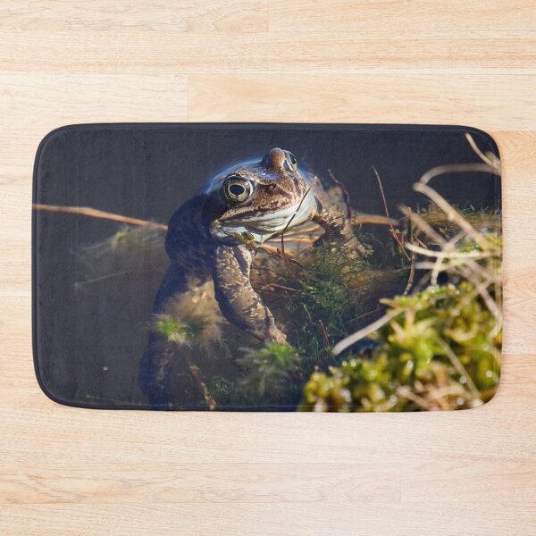 Item preview, The boss. European brown frog designed and sold by Jouko Lehto Photography.