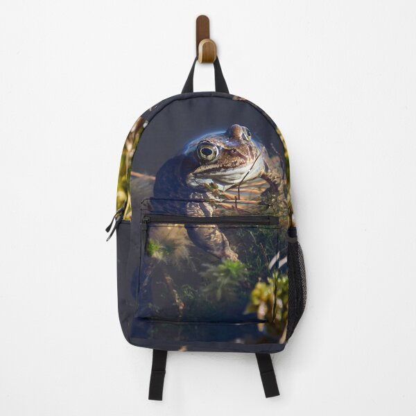 Item preview, The boss. European brown frog designed and sold by Jouko Lehto Photography.