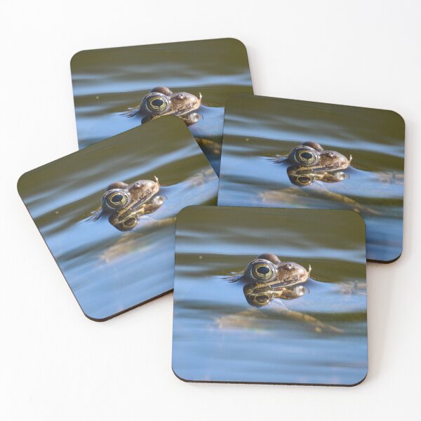 Item preview, In the Stream of life. European brown frog designed and sold by Jouko Lehto Photography.