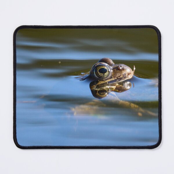 Item preview, In the Stream of life. European brown frog designed and sold by Jouko Lehto Photography.