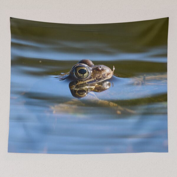 Item preview, In the Stream of life. European brown frog designed and sold by Jouko Lehto Photography.