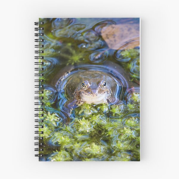 Item preview, Green pond. European brown frog designed and sold by Jouko Lehto Photography.