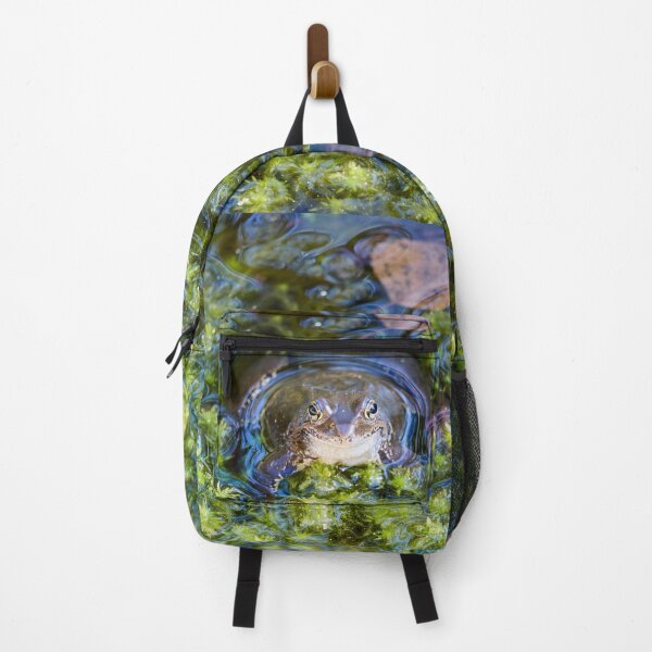 Item preview, Green pond. European brown frog designed and sold by Jouko Lehto Photography.