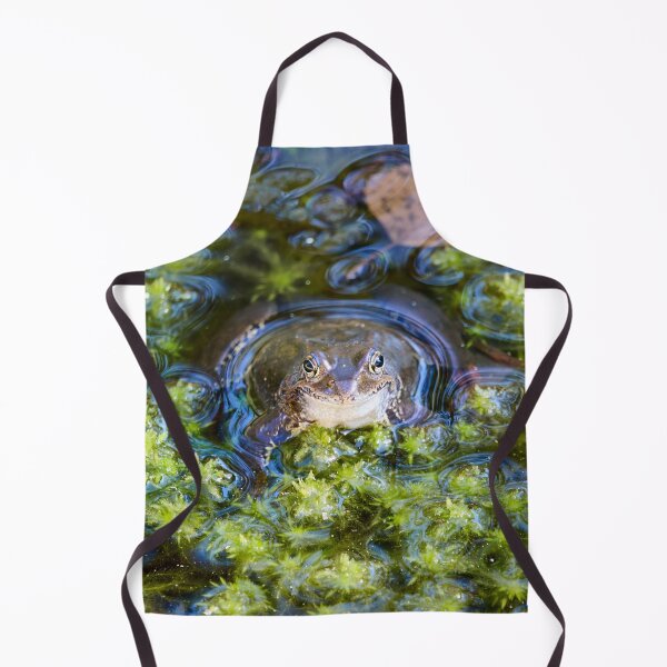 Item preview, Green pond. European brown frog designed and sold by Jouko Lehto Photography.