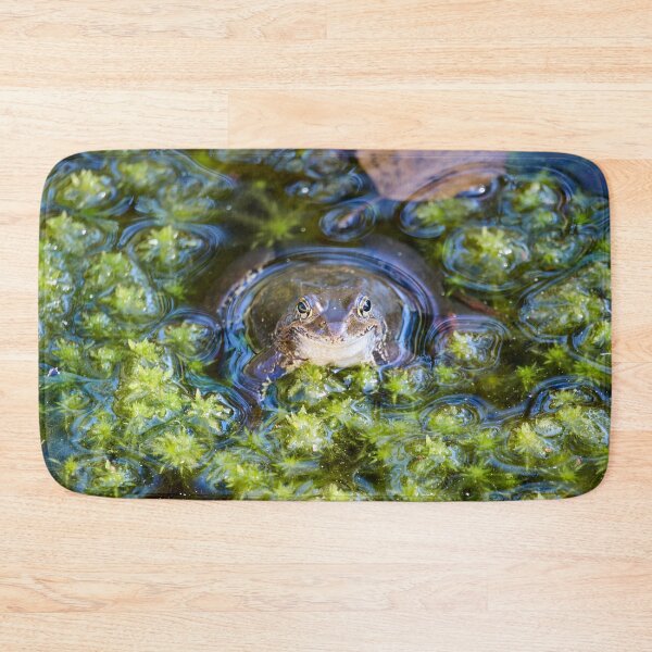 Item preview, Green pond. European brown frog designed and sold by Jouko Lehto Photography.