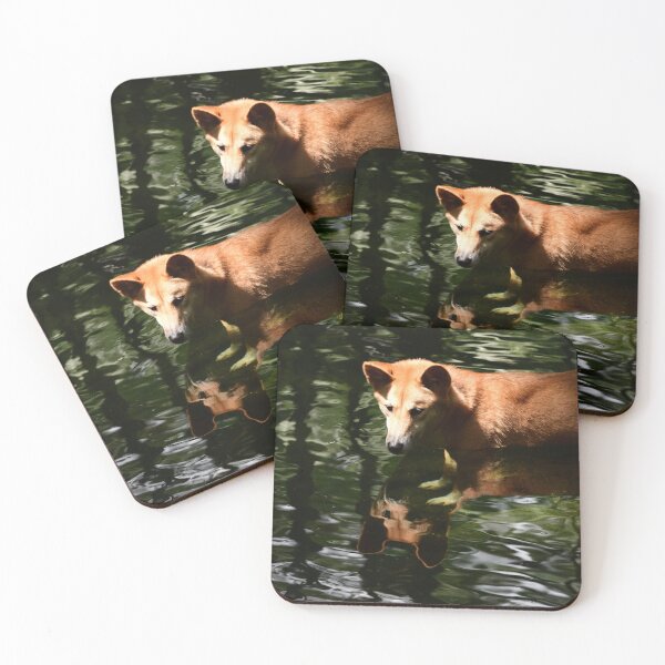 Item preview, Reflective Dingo  designed and sold by photosbymia.