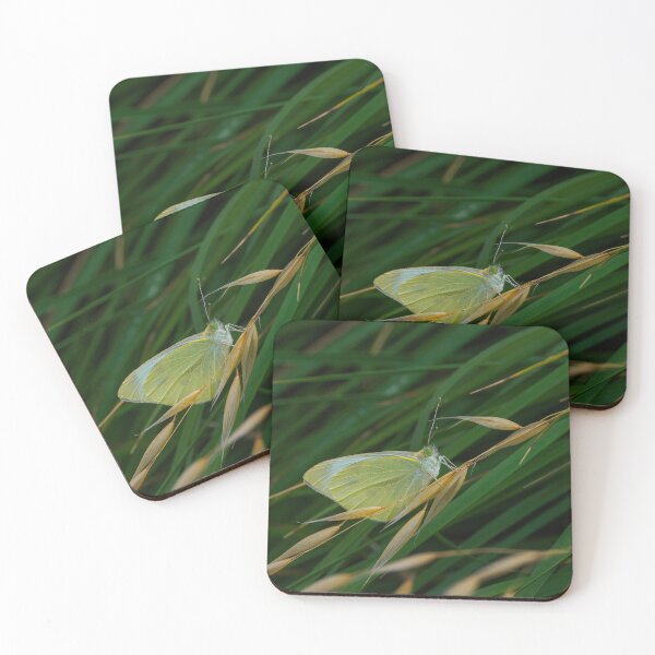 Item preview, Small White Butterfly on Grass designed and sold by Ralph Goldsmith.
