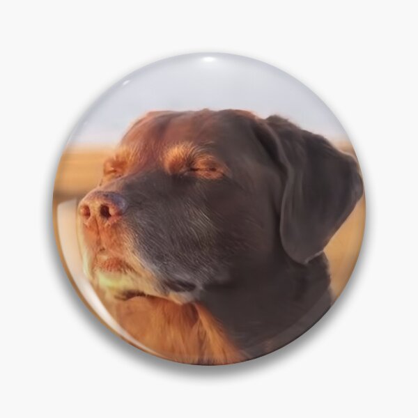 Item preview, Dog meme designed and sold by ChristinaW333.