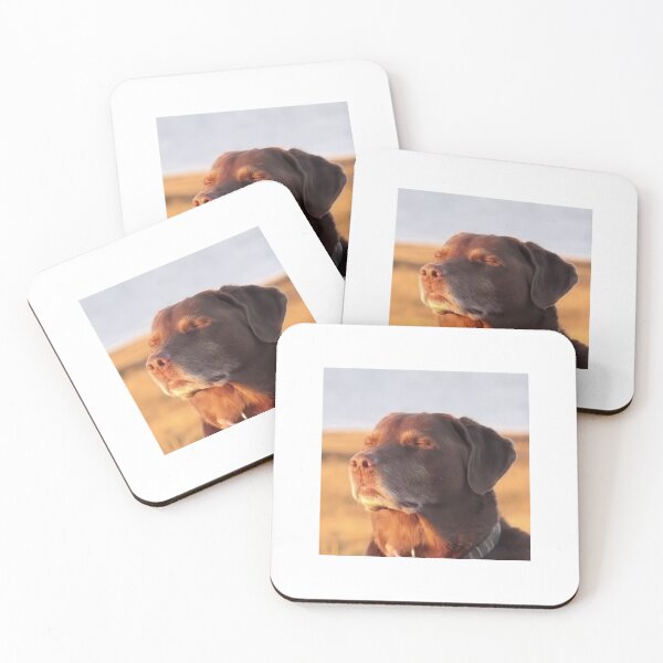 Item preview, Dog meme designed and sold by ChristinaW333.