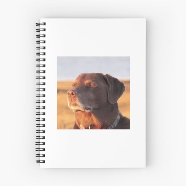 Item preview, Dog meme designed and sold by ChristinaW333.