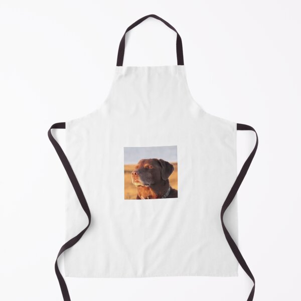 Item preview, Dog meme designed and sold by ChristinaW333.