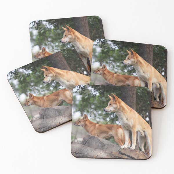 Item preview, Pair of Australian Dingoes designed and sold by Siene Browne.