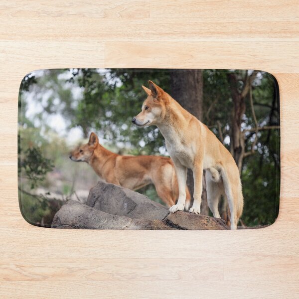 Item preview, Pair of Australian Dingoes designed and sold by Siene Browne.