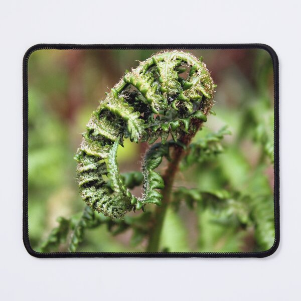 Item preview, fern designed and sold by KathleenDawson.