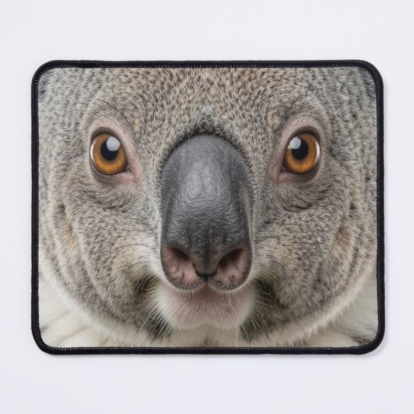 Item preview, Koala Close-up designed and sold by Kirrindy Designs.