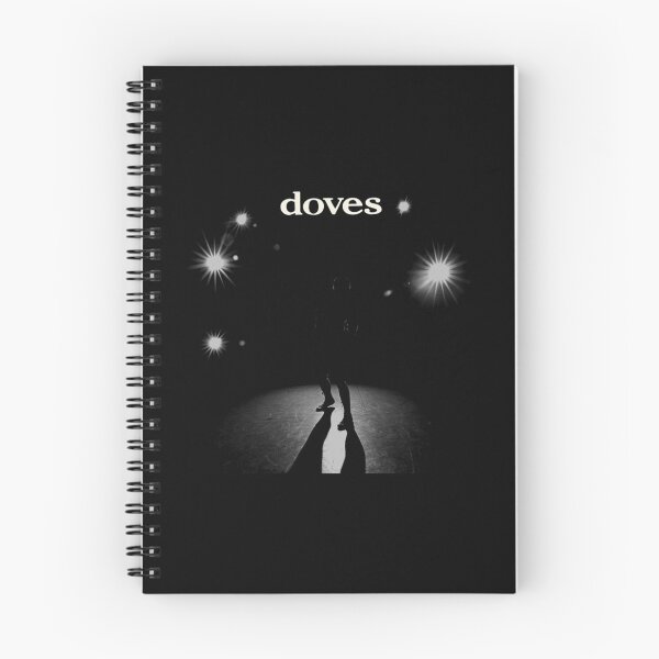 Aperçu de l'œuvre Doves Lost Souls, pochette d'album inspirée du rock indépendant britannique classique créée et vendue par Supa666.