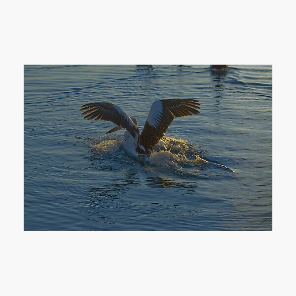 Touchdown Photographic Print