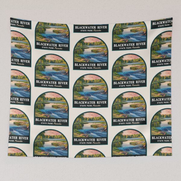 Item preview, Blackwater River State Park (Florida), USA designed and sold by PinkandP.