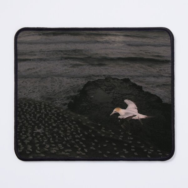 Item preview, Coming Home designed and sold by TonySlattery.