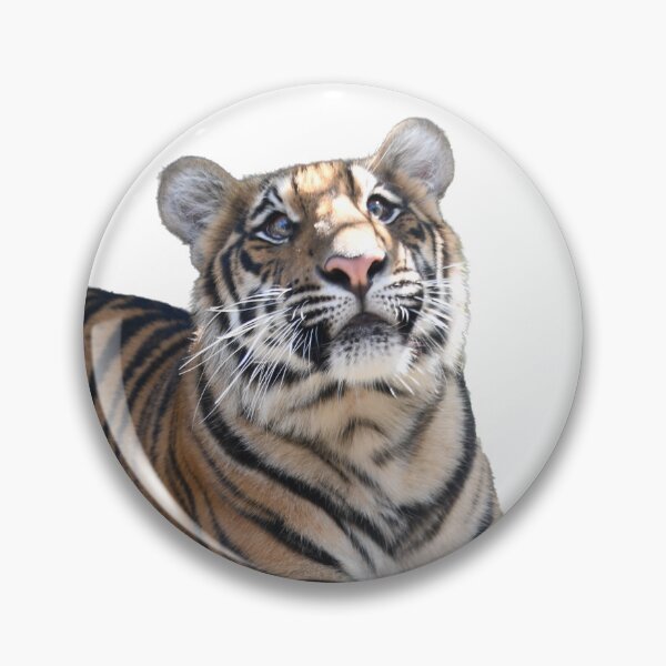 Item preview, Orange Bengal Tiger designed and sold by MKlens.