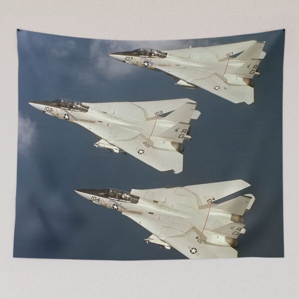 Item preview, F-14 Tomcat designed and sold by RaF71PrO.