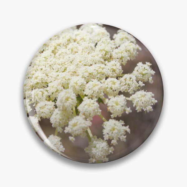 Item preview, Close-Up of White Queen Anne's Lace Wildflower Umbel in Natural Summer Outdoor Setting designed and sold by Nmallia.