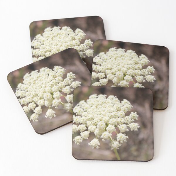 Item preview, Close-Up of White Queen Anne's Lace Wildflower Umbel in Natural Summer Outdoor Setting designed and sold by Nmallia.