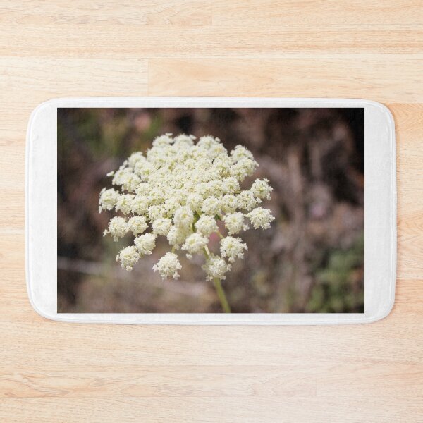 Item preview, Close-Up of White Queen Anne's Lace Wildflower Umbel in Natural Summer Outdoor Setting designed and sold by Nmallia.