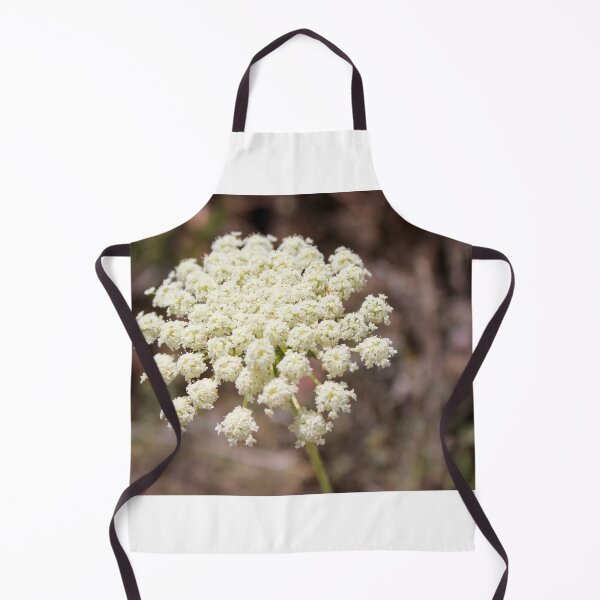 Item preview, Close-Up of White Queen Anne's Lace Wildflower Umbel in Natural Summer Outdoor Setting designed and sold by Nmallia.
