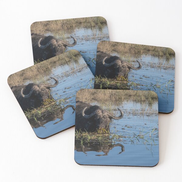 Item preview, Cape buffalo standing in Chobe River water with reflection, Botswana designed and sold by JoSowden.