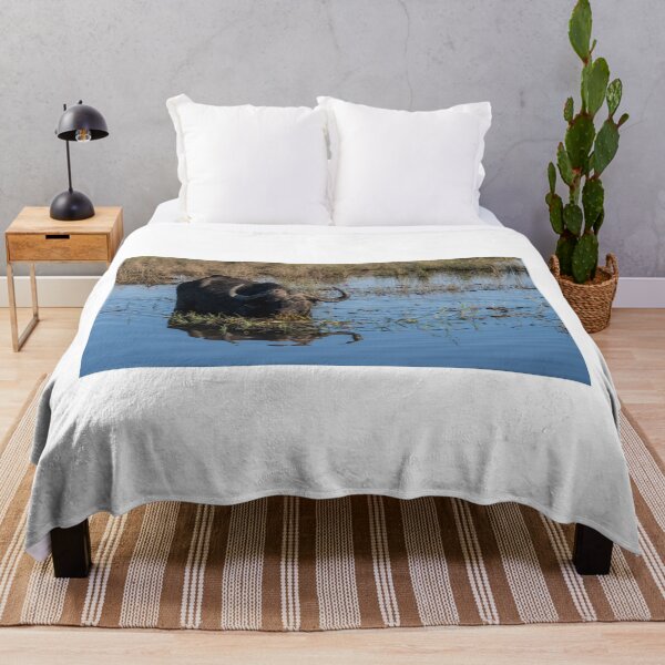 Item preview, Cape buffalo standing in Chobe River water with reflection, Botswana designed and sold by JoSowden.