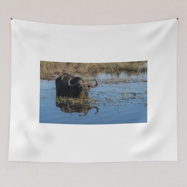 Item preview, Cape buffalo standing in Chobe River water with reflection, Botswana designed and sold by JoSowden.