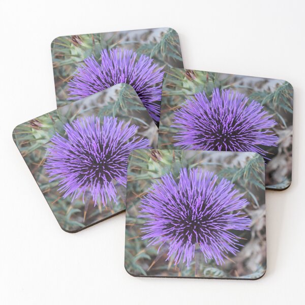Item preview, Close-Up Of Purple Thistle Flower With Spiky Leaves And Dry Background Botanical Study designed and sold by Nmallia.