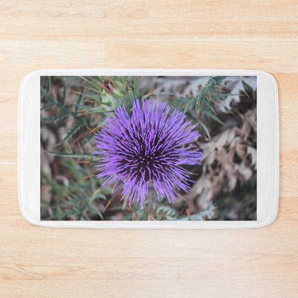 Item preview, Close-Up Of Purple Thistle Flower With Spiky Leaves And Dry Background Botanical Study designed and sold by Nmallia.